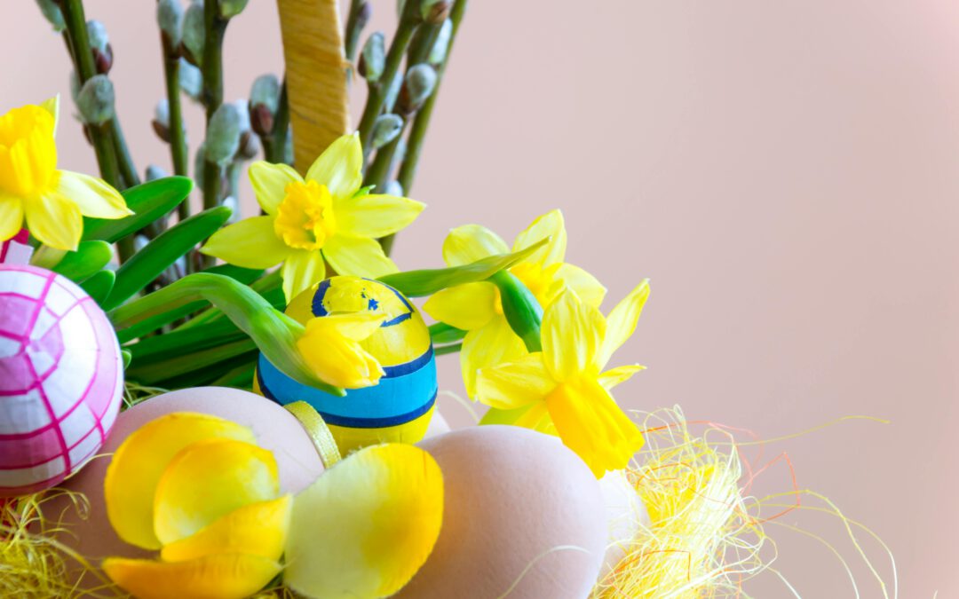 Weitblick Magazin Frühling 2025